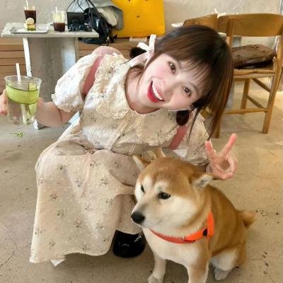 星路奇程